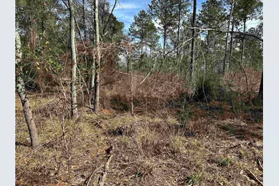 Tbd Fm 747, Jacksonville, TX 75766 - Photo 43