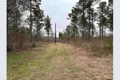 Tbd Fm 747, Jacksonville, TX 75766 - Photo 25