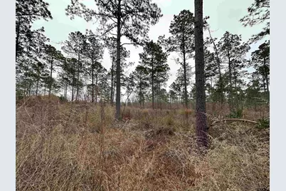 Tbd Fm 747, Jacksonville, TX 75766 - Photo 21