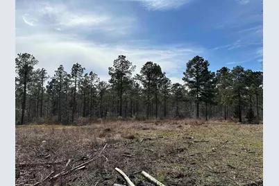 Tbd Fm 747, Jacksonville, TX 75766 - Photo 41