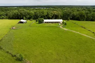 5652 An County Rd 2202, Palestine, TX 75803 - Photo 37