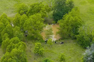 5652 An County Rd 2202, Palestine, TX 75803 - Photo 43