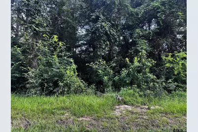 540 Chelsea Ln, Bullard, TX 75757 - Photo 3