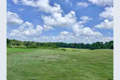 0 An County Road 3194, Frankston, TX 75763 - Photo 11