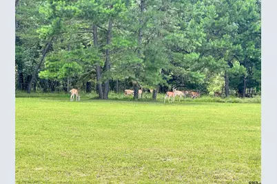 0 An County Road 3194, Frankston, TX 75763 - Photo 15