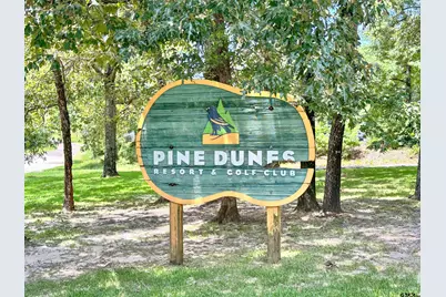 0 An County Road 3194, Frankston, TX 75763 - Photo 7