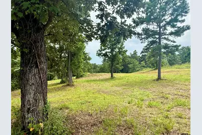 16121 W Valley View Ct., Winona, TX 75792 - Photo 9