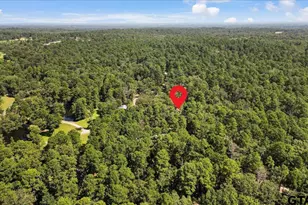 148 Pr 8574, Winnsboro, TX 75494 - Photo 27