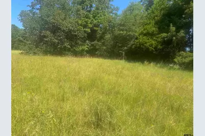 20.869 Ac Cr 4426, Winnsboro, TX 75494 - Photo 5