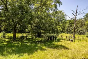 2780 Poppy Rd, Gilmer, TX 75644 - Photo 35