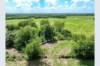 10446 Fm 859, Edgewood, TX 75117 - Photo 3