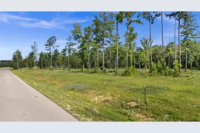 15810 Aniston Lane, Flint, TX 75762 - Photo 7