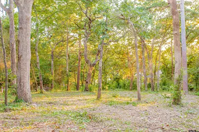 514 Dogwood Ln, Hideaway, TX 75771 - Photo 11