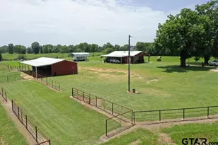 1303 Co Rd 2314, Pittsburg, TX 75686 - Photo 39