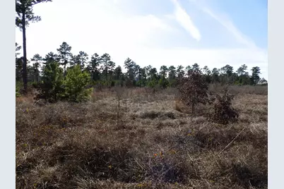 20175 S Hwy 155 Lot E-1, Flint, TX 75762 - Photo 29