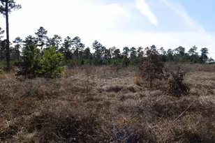 20175 S Hwy 155 Lot E-1, Flint, TX 75762 - Photo 29