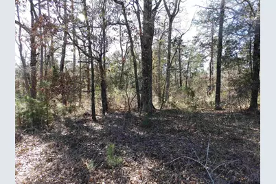 20175 S Hwy 155 Lot E-1, Flint, TX 75762 - Photo 35