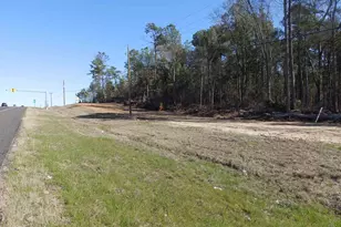 20175 S Hwy 155 Lot E-1, Flint, TX 75762 - Photo 21