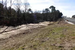 20175 S Hwy 155 Lot E-1, Flint, TX 75762 - Photo 19