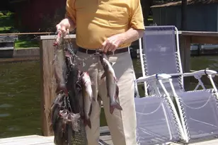 17198 Lakeview Dr, Flint, TX 75762 - Photo 37