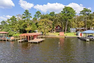 17198 Lakeview Dr, Flint, TX 75762 - Photo 39