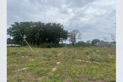 14914 C R 424, Lindale, TX 75771 - Photo 3