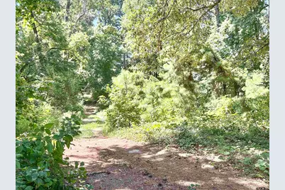 10528 Fm 344, Bullard, TX 75757 - Photo 9