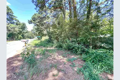 10528 Fm 344, Bullard, TX 75757 - Photo 23