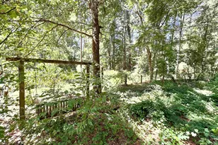 10528 FM 344, Bullard, TX 75757 - Photo 3