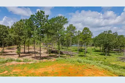 Tbd Cr 3111, Kilgore, TX 75662 - Photo 27