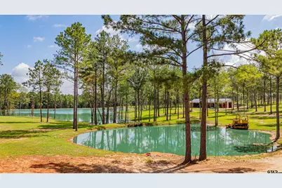 Tbd Cr 3111, Kilgore, TX 75662 - Photo 19