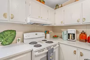 22616 Shady Trail, Flint, TX 75762 - Photo 15