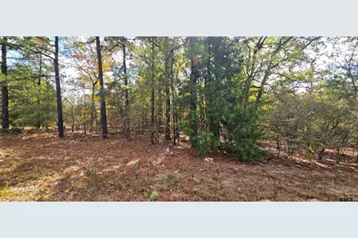 15570 Cr 3147, Tyler, TX 75706 - Photo 3