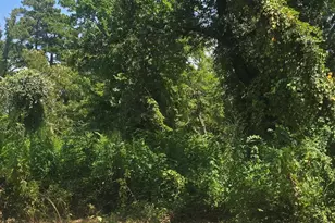 Tbd Lot 1 Brierwood Dr, Frankston, TX 75763 - Photo 5