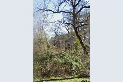 Tbd Lot 2 Brierwood Drive, Frankston, TX 75763 - Photo 7