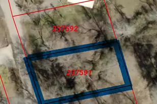 Tbd Lot 2 Brierwood Dr, Frankston, TX 75763 - Photo 5