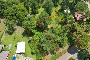 Tbd Lot 2 Brierwood Dr, Frankston, TX 75763 - Photo 11