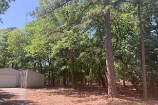 371 Wildwood, Holly Lake Ranch, TX 75765 - Photo 9