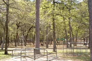 371 Wildwood, Holly Lake Ranch, TX 75765 - Photo 31