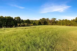 13096 Honey Poo Ln, Brownsboro, TX 75756 - Photo 13