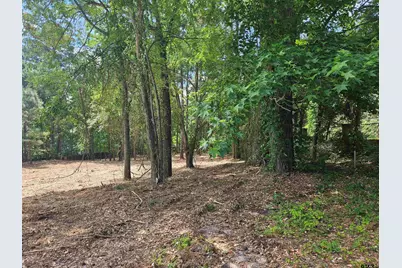 13311 White Tail Drive, Tyler, TX 75707 - Photo 19