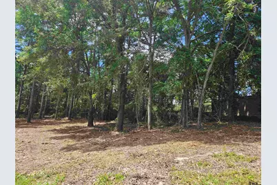 13311 White Tail Drive, Tyler, TX 75707 - Photo 11