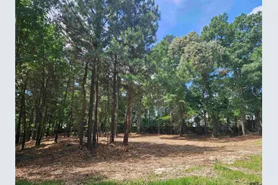 13311 White Tail Drive, Tyler, TX 75707 - Photo 9