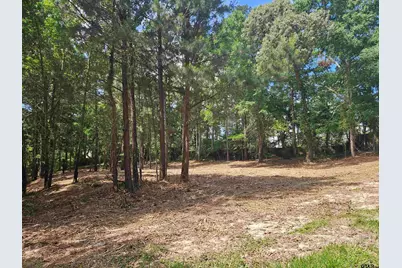 13311 White Tail Drive, Tyler, TX 75707 - Photo 7