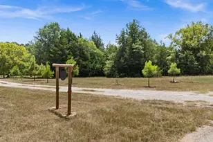 10351 County Rd 4101, Frankston, TX 75763 - Photo 11