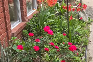 4108 Cr 427, Tyler, TX 75704 - Photo 21