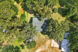 20009 Southside Cir, Winona, TX 75792 - Photo 43