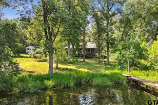 20009 Southside Cir, Winona, TX 75792 - Photo 35