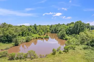 12250 Co Rd 3513, Brownsboro, TX 75756 - Photo 37
