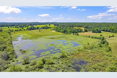 12250 Cr 3513, Brownsboro, TX 75756 - Photo 13